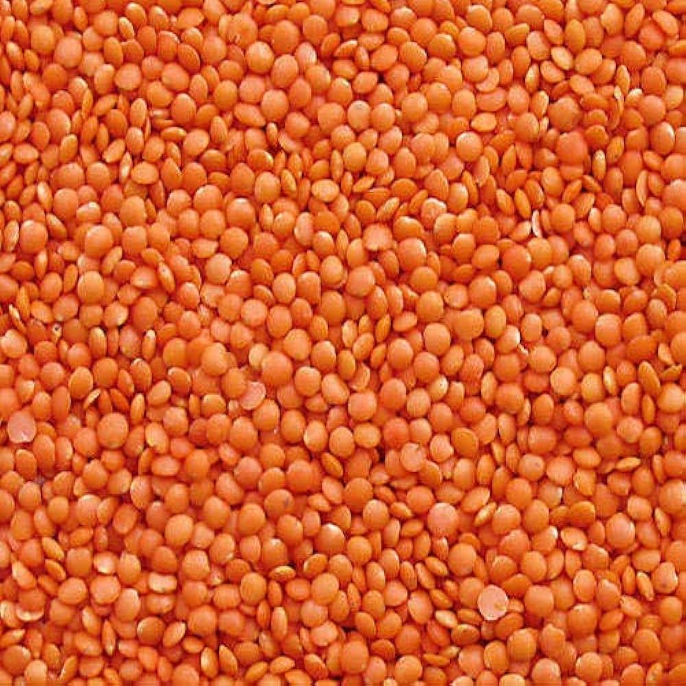 61OjZVdIYeL._AC_UF10001000_QL80_.jpg
