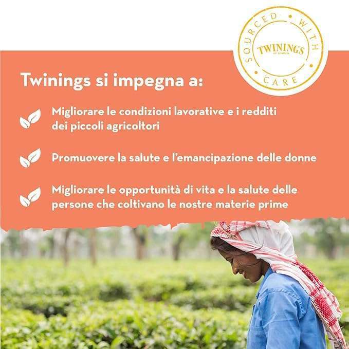 71mw81bsXL._SX679_.jpg 71mw81bsXL._SX679_.jpg