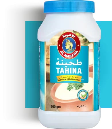 tahina-image1.png.webp