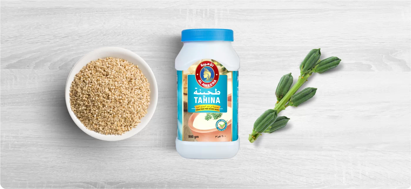 tahina-page.png.webp